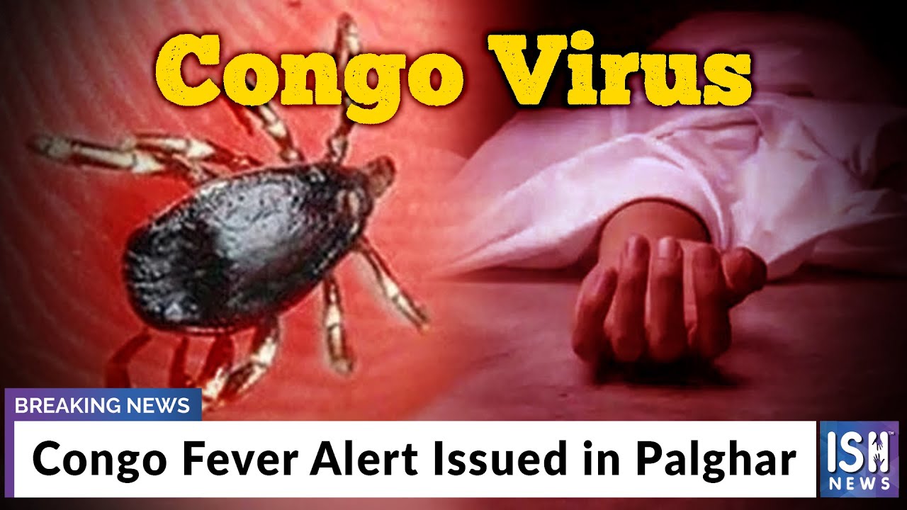 Congo Fever Alert Issued in Palghar YouTube