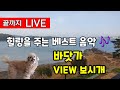 끝까지 LIVE l 컴퓨터 고장날 때 까지 라이브방송ㅣ아름다운 바다 실시간 VIEWㅣ지친 일상의 마음이 편안해 지는 힐링 음악 베스트