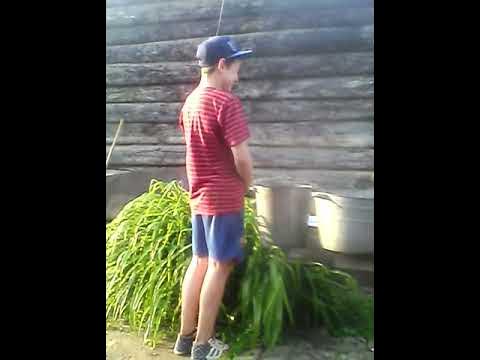 Писающий мальчик - YouTube