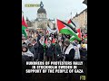 Hundreds of protesters RALLY in Stockholm Sweden in support of the people of Gaza