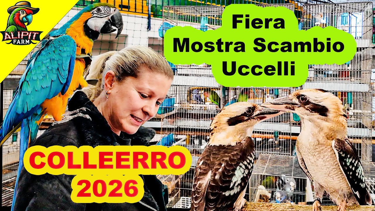 Fiera Mostra Scambio Colleferro 2026 Pappagalli e Uccelli  Evento A.R.O. #fiera #uccelli #2026