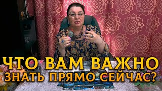 ОСТОРОЖНО! ЧТО ВАМ НАДО ЗНАТЬ О НЕМ ПРЯМО СЕЙЧАС?