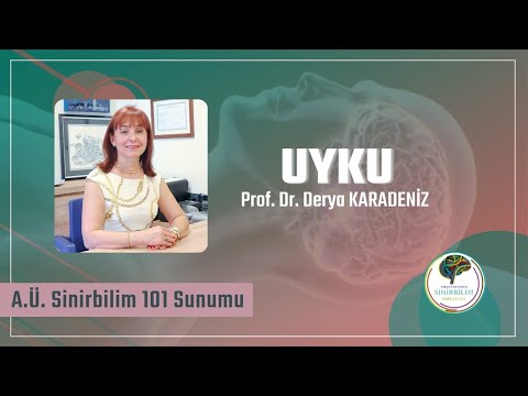 Uyku Fizyolojisi Uyku-Uyanıklık Regülasyonu ve Uyku Hastalıkları Prof. Dr. Derya Karadeniz