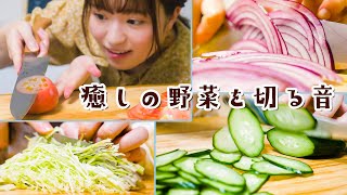 切れ味抜群の包丁で野菜をザクザク切っていきます！【料理音ASMR】