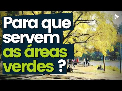 ÁREAS VERDES URBANAS: O QUE SÃO E PARA QUE SERVEM?