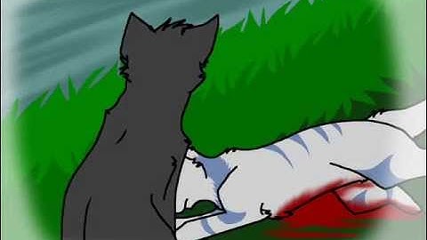 Cinderpelt MAP Part 8 for GinjaNinjaOwO