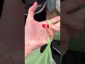 Забыли вещи на даче