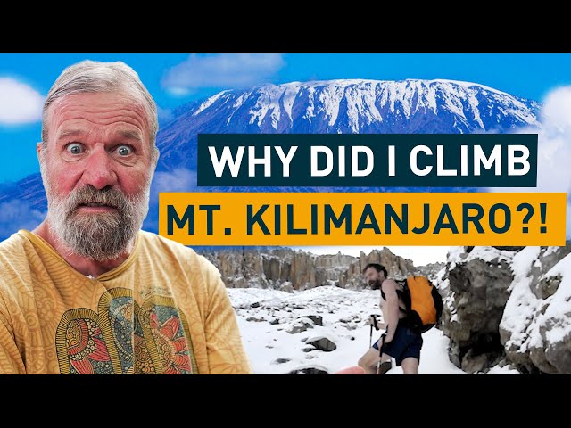 Hardy climbers led by Wim Hof reach Kilimanjaro peak wearing just