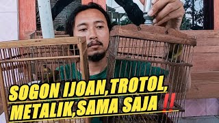 Making a sogon sound trecet, ngobra is easy||The Ngleper is the hard one‼️