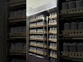 Oyster Mushroom Bag Production Line#mushroommachine #mushroomcultivation #mushroomgrowing