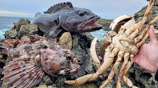 Eating MASSIVE CRAB and WORMY, PARASITIC FISH!  Catch and Cook!!