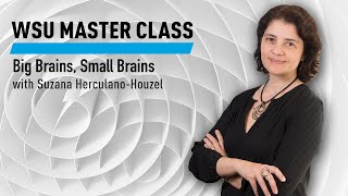 WSU Master Class: Big Brains, Small Brains with Suzana Herculano-Houzel