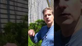 How to Turn on Irrigation System in Spring | How to Start Sprinkler System
