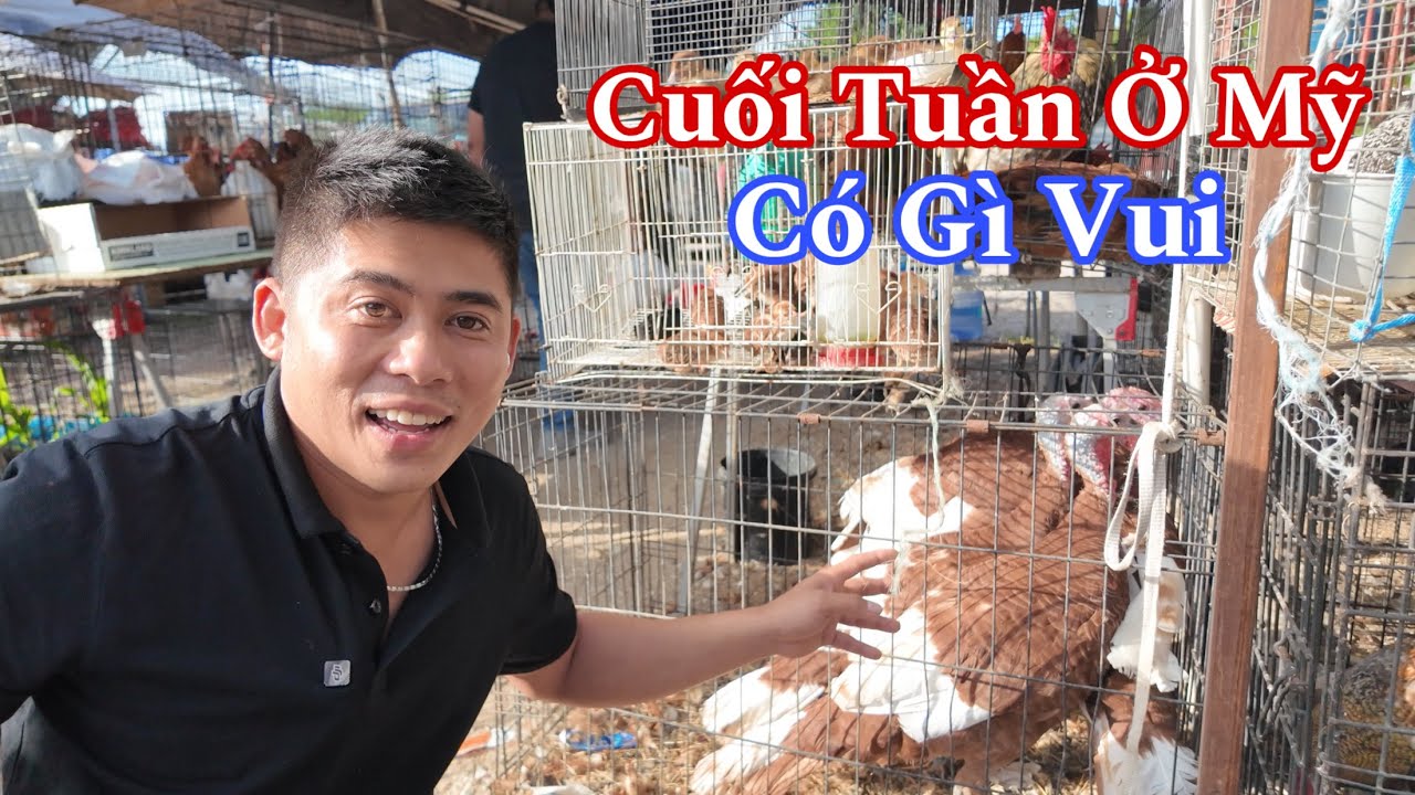 Trở Lại Mỹ Sau Một Thời Gian Vắng Bóng