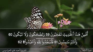 الصفحة 528 سورة النجم وسورة القمر بصوت القارئ المهندس أحمد فايز الحراسيس