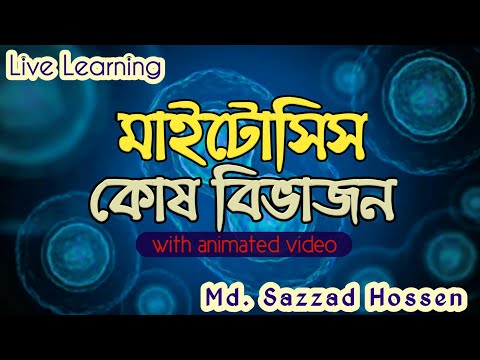 মাইটোসিস কোষ বিভাজন। Mitosis cell division