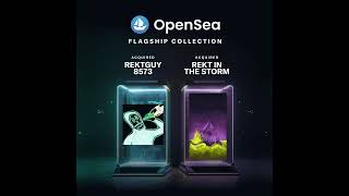 NFT Drop Spotlight: Rektguy Universe Joins OpenSea Flagship Collection | 85/100