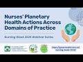 Nurses' Planetary Health Actions Across Domains of Practice