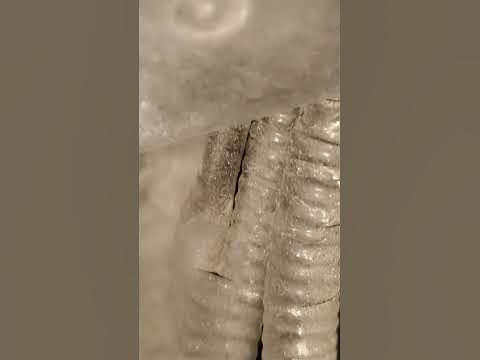 Honda 2nd Gear Pressure Switch DIY (Code P0843) - YouTube