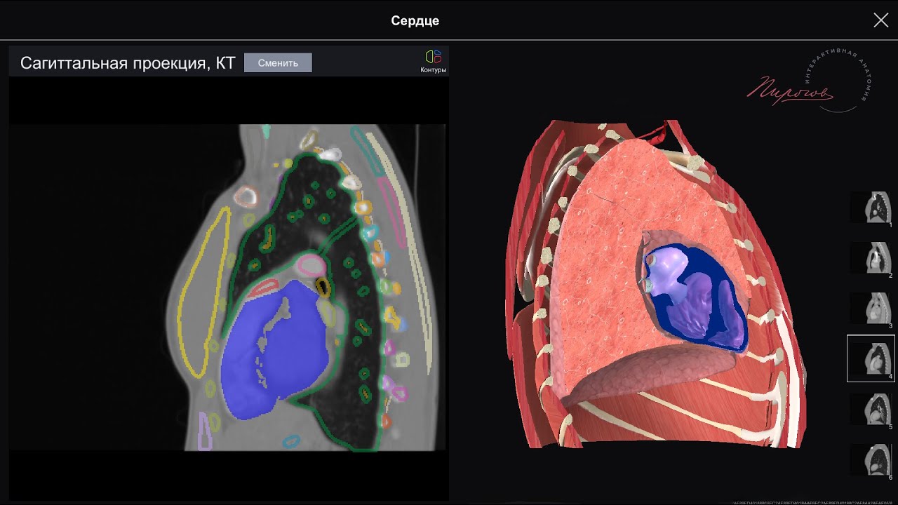 Аускультация сердца. Точки аускультации сердца - YouTube