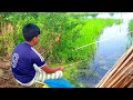 Hook Fishing - Traditional Hook Fishing - MR Fishing Life (Part-51)