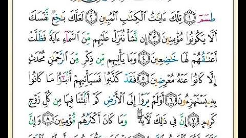ختمة تلاوة لمصحف التجويد بصوت القارئ محمد حبش الصفحة رقم 367