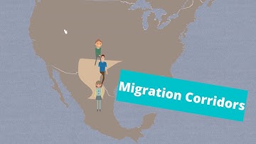 Migration Corridors