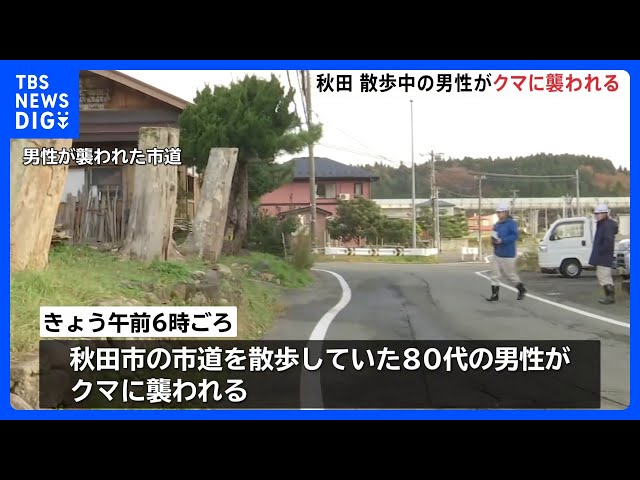 熊の散歩 クマ襲撃に町騒然、日課の犬散歩中に住宅街で襲われ男性死亡