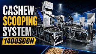 Cashew Scooping system 1400SCCN #johncashewmachine #cashewproject