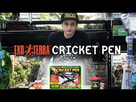 Exo Terra Cricket Pen Small