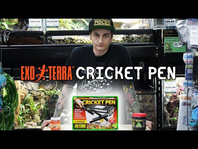 Купить Контейнер для живого корма Exo Terra Cricket Pen Large (30x20,5x19.5  см) с доставкой по Москве и России. Низкая цена.