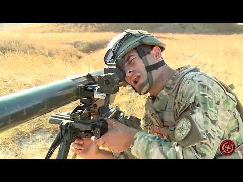 საქართველოს შეიარაღებული ძალები 27 წლისაა