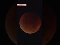 Japan's first total lunar eclipse in 3 years thrills stargazersーNHK WORLD-JAPAN NEWS #shorts