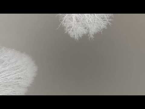 HALMA – Slow Song : Andreas Bianca Remix