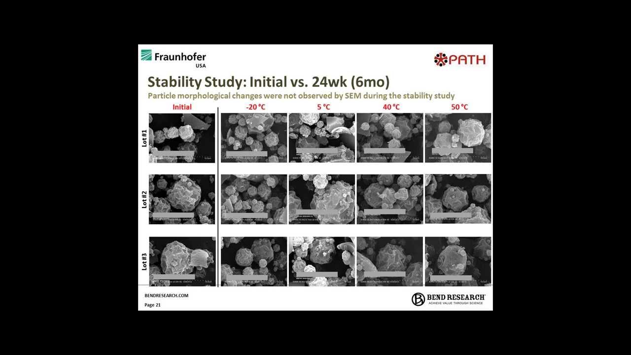 Vaccine and Biotherapeutic Formulation Development and Manufacture Using Spray-Drying