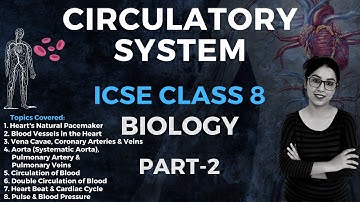 Circulatory System | ICSE CLASS 8 Biology | Part - 2