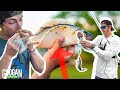 Googan SURVIVAL Skills Catch Clean and Cook! ( Schooling FISH )