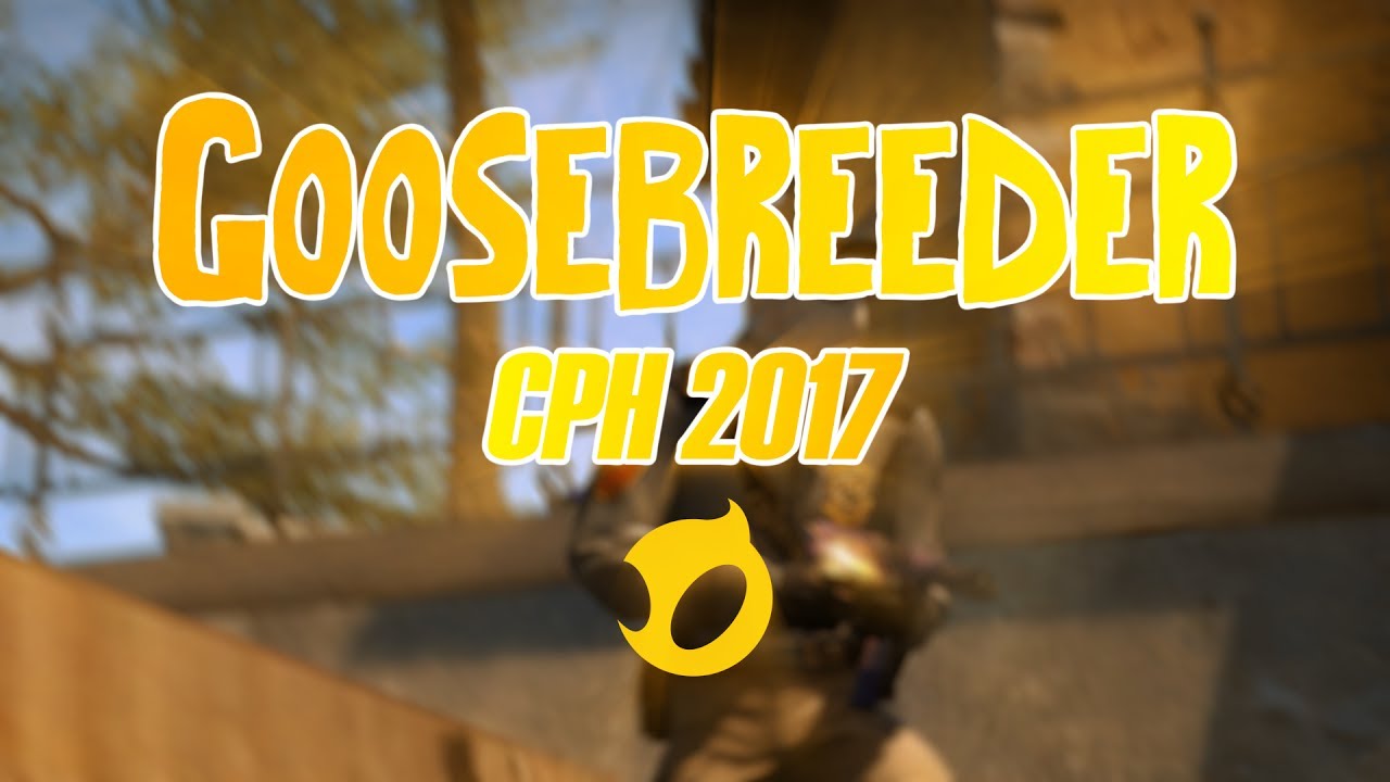 Dignitas Fe GooseBreeder CPH Games 2017