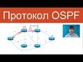 Протокол OSPF | Компьютерные сети. Продвинутые темы