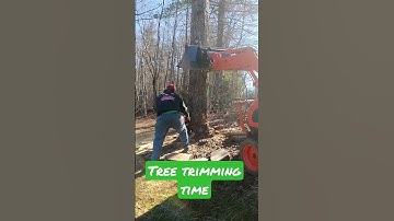 Tractor Pushing Tree Over