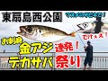 サビキ釣りで良型の金アジ連発！まさかのデカサバの襲撃が止まらない衝撃で大漁！【東扇島西公園】