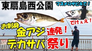 サビキ釣りで良型の金アジ連発！まさかのデカサバの襲撃が止まらない衝撃で大漁！【東扇島西公園】