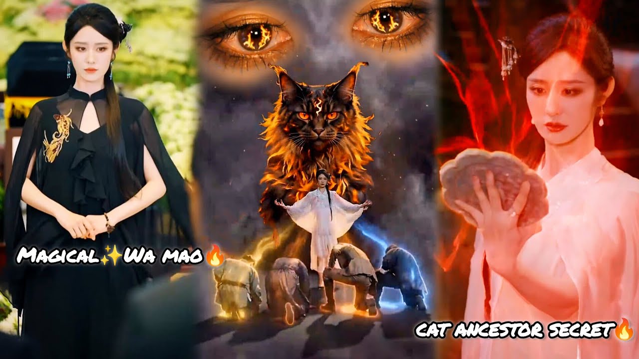 Magical✨ Wa-mao😾 Rebirth of Revenge🔥explain in hindi #asianentmt #chinesedrama #revenge #rebirth 