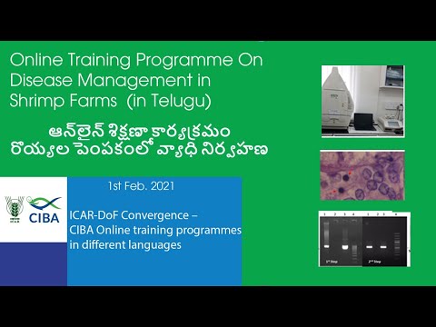 Online Training on Disease Management in Shrimp Farms  (in Telugu)
