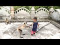 Baby langoors playing with children and create very funny moments.