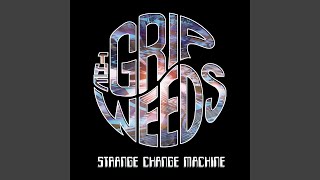 Video thumbnail of "The Grip Weeds - Be Here Now"