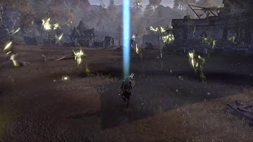 Elder Scrolls Online - Siege Shield Animation Bug