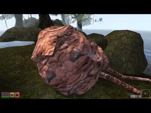 TES 3 Morrowind