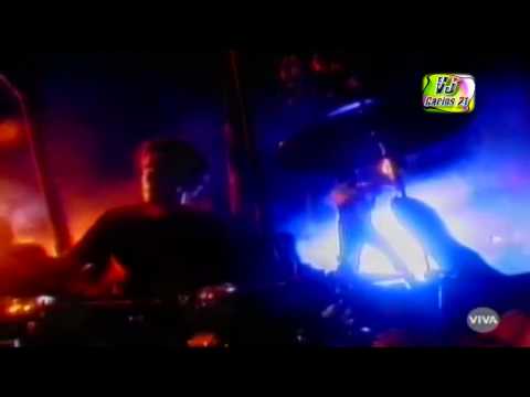 Os Paralamas do