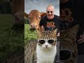 Eating Grass? #funny #support #cat #cow #comedy #thankyou